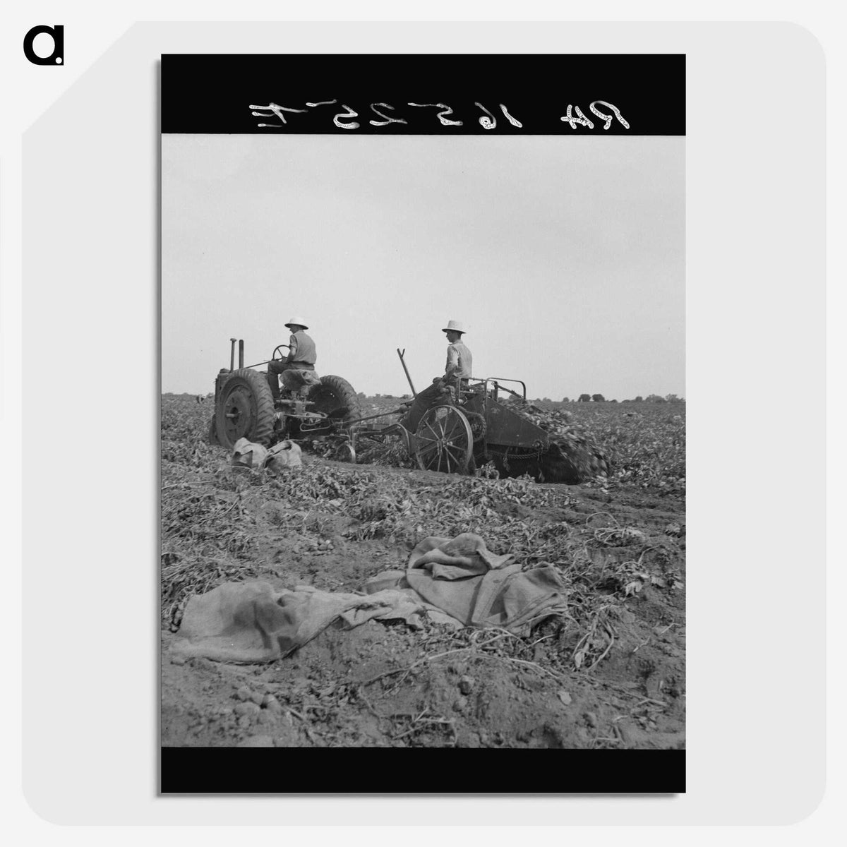 2-91_Dorothea-Lange_picture-crop