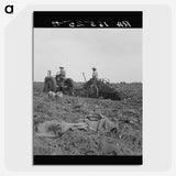 2-91_Dorothea-Lange_picture-crop