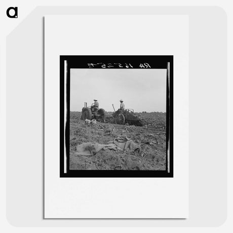 2-91_Dorothea-Lange_picture