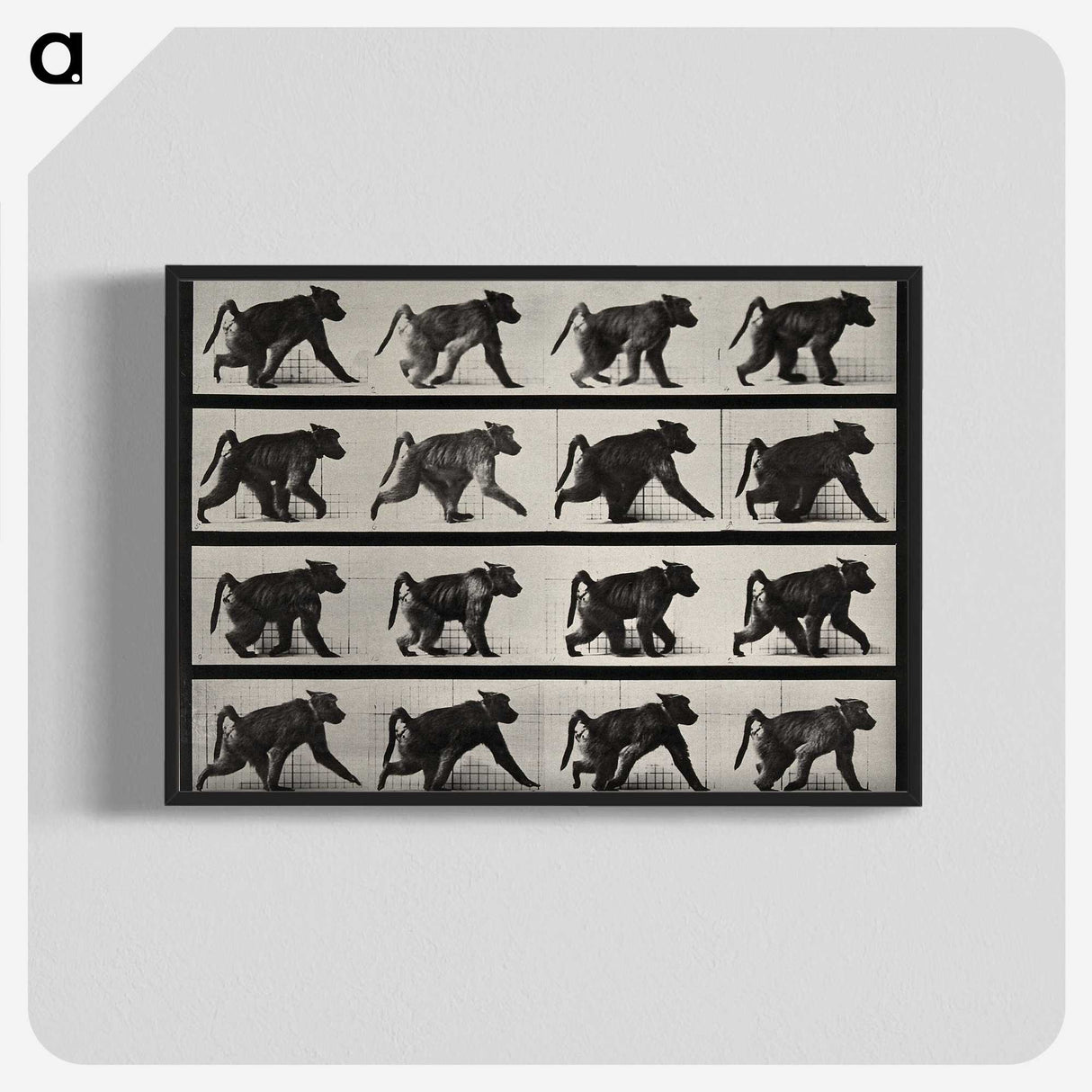 2-91_Eadweard-Muybridge_blk-crop