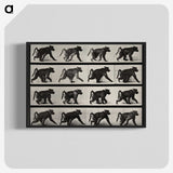 2-91_Eadweard-Muybridge_blk-crop
