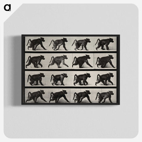2-91_Eadweard-Muybridge_blk-crop