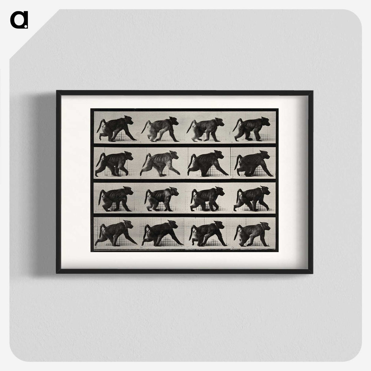 2-91_Eadweard-Muybridge_blk
