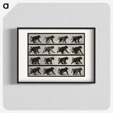 2-91_Eadweard-Muybridge_blk