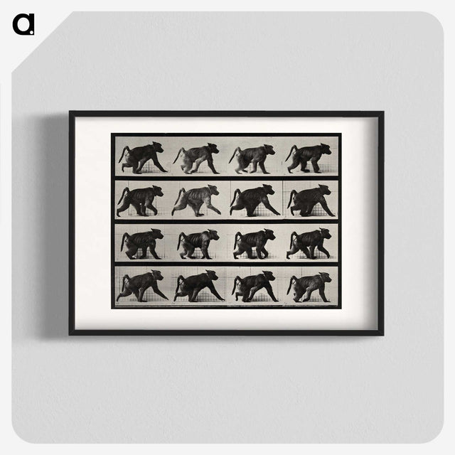 2-91_Eadweard-Muybridge_blk