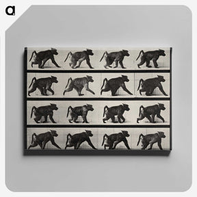 2-91_Eadweard-Muybridge_canvas