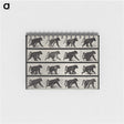 2-91_Eadweard-Muybridge_memo