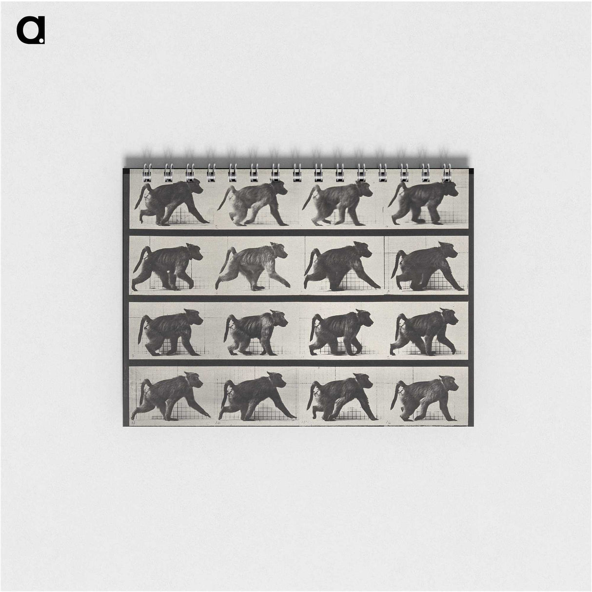 2-91_Eadweard-Muybridge_memo