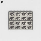 2-91_Eadweard-Muybridge_memo