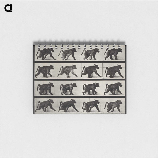 2-91_Eadweard-Muybridge_memo