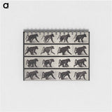 アートメモ帳-Walking Monkey
 - エドワード マイブリッジ Memo.