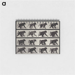 アートメモ帳-Walking Monkey
 - エドワード マイブリッジ Memo.