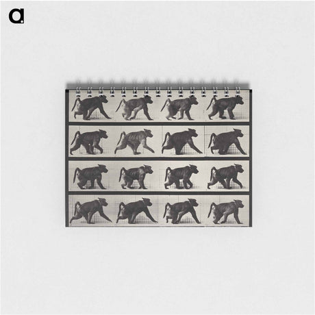 アートメモ帳-Walking Monkey
 - エドワード マイブリッジ Memo.