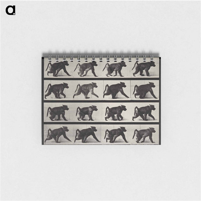 アートメモ帳-Walking Monkey
 - エドワード マイブリッジ Memo.