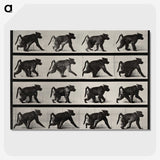 2-91_Eadweard-Muybridge_picture-crop