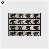 アートポストカード-Walking Monkey
 - エドワード マイブリッジ Postcard.
