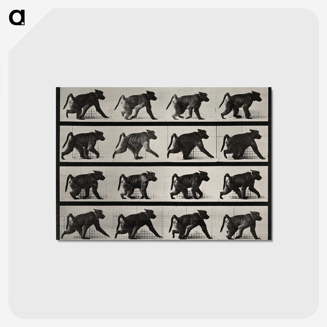 2-91_Eadweard-Muybridge_postcard