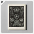 2-91_Ernst-Haeckel_canvas