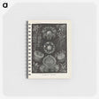 2-91_Ernst-Haeckel_memo
