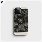 2-91_Ernst-Haeckel_phone