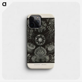2-91_Ernst-Haeckel_phone