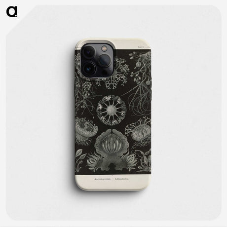 2-91_Ernst-Haeckel_phone
