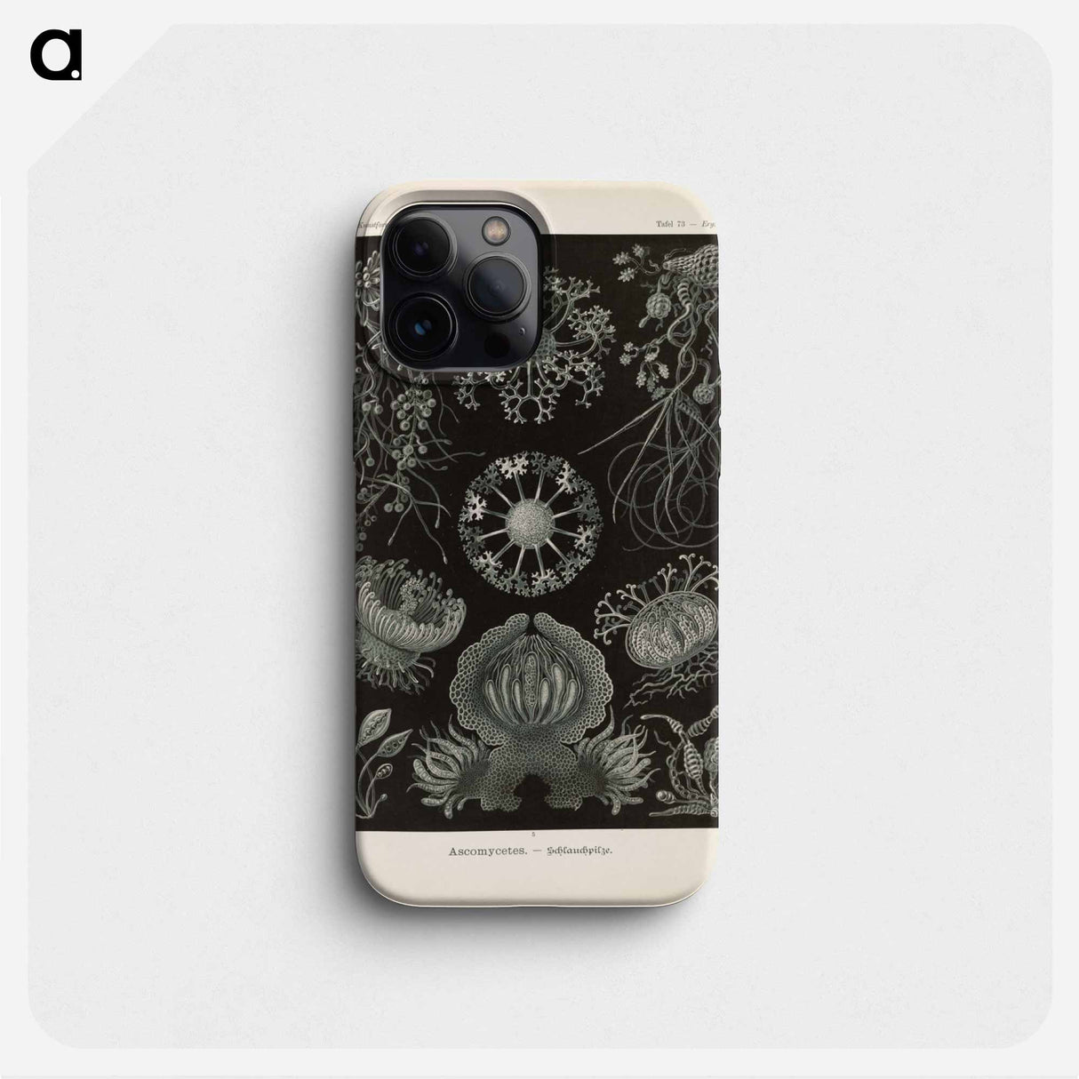 Marine life illustration - エルンスト ヘッケル Phone Case.