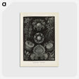 2-91_Ernst-Haeckel_postcard