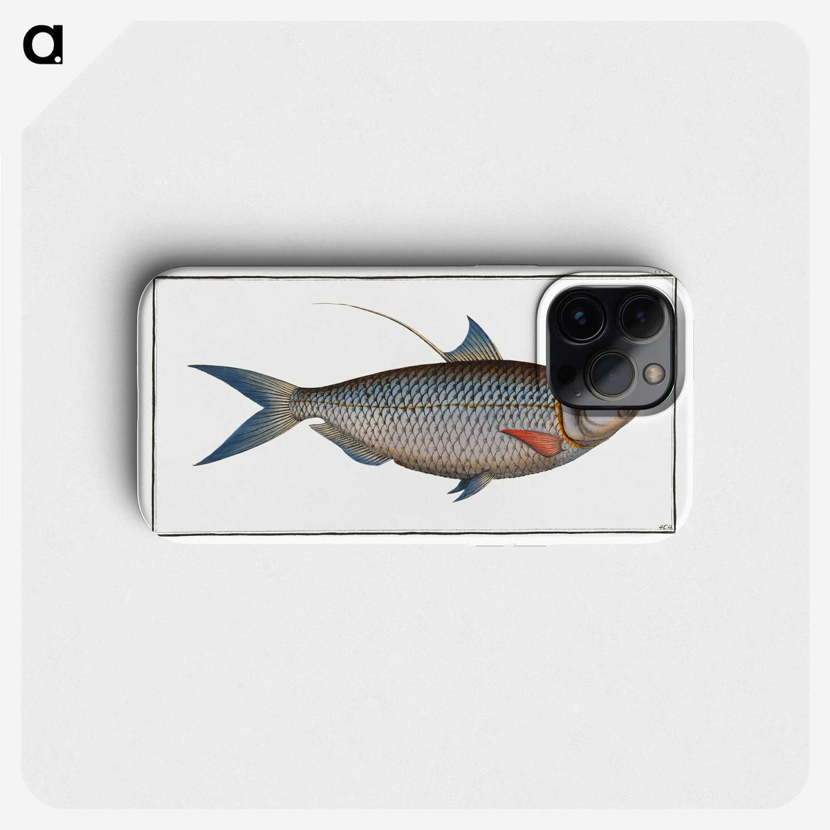 2-91_Ichtyologie-ou-Histoire-naturelle_phone