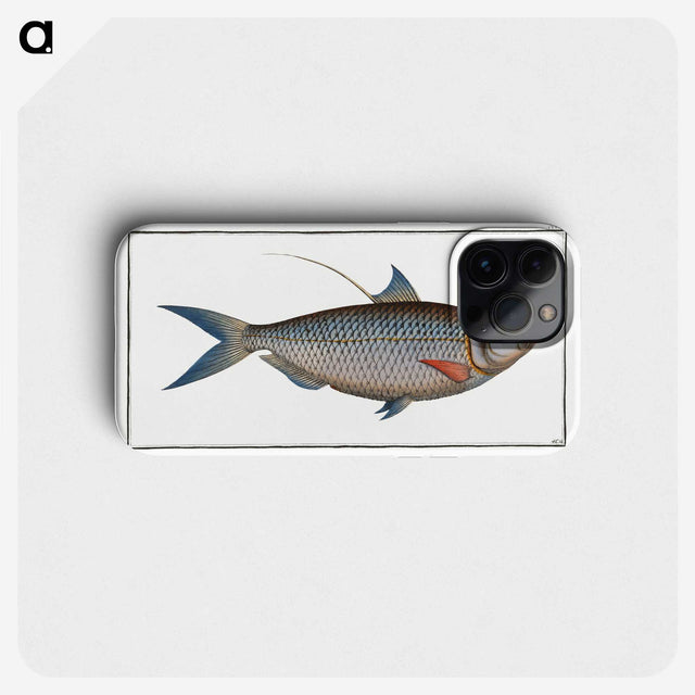 2-91_Ichtyologie-ou-Histoire-naturelle_phone