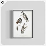 2-91_Indian-Zoology_blk-crop