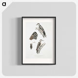 2-91_Indian-Zoology_blk