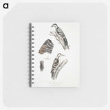 2-91_Indian-Zoology_memo