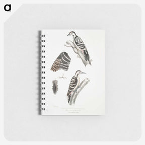 2-91_Indian-Zoology_memo
