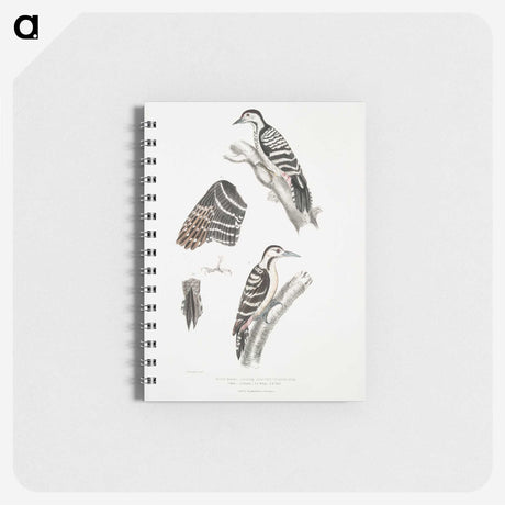 2-91_Indian-Zoology_memo