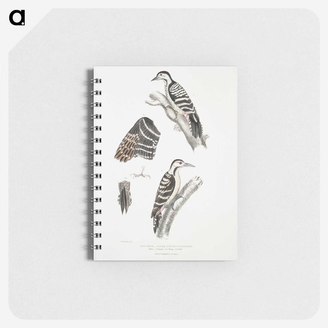 2-91_Indian-Zoology_memo