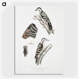 2-91_Indian-Zoology_picture-crop