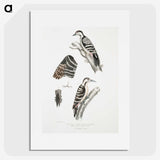 2-91_Indian-Zoology_picture