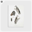 2-91_Indian-Zoology_postcard