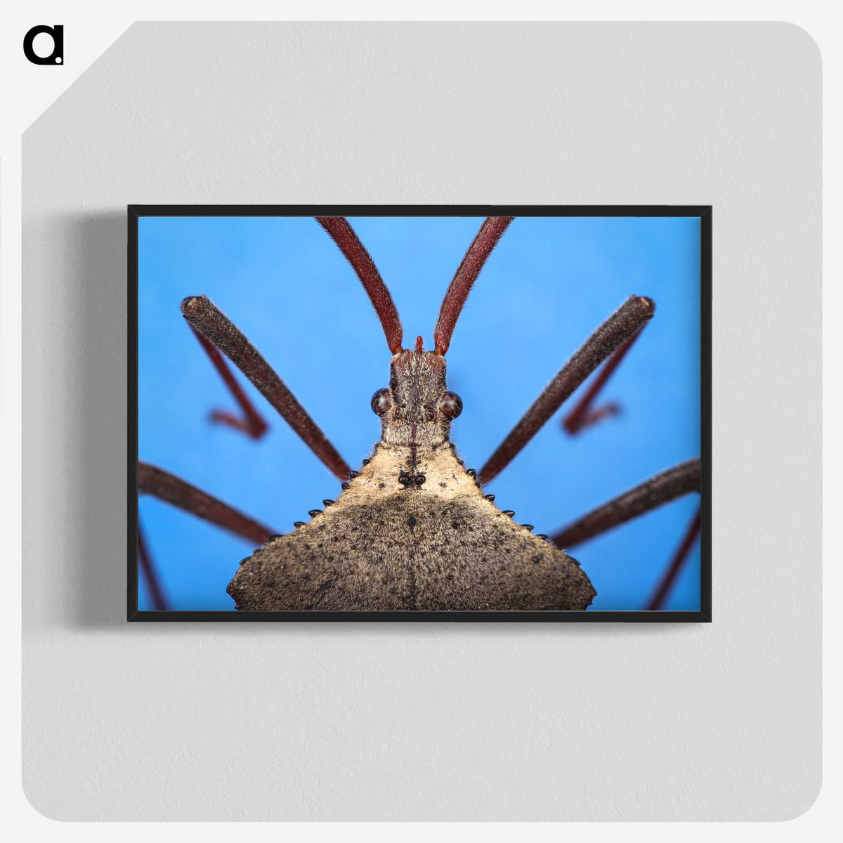 2-91_Insects-Unlocked-Project_blk-crop