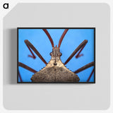 2-91_Insects-Unlocked-Project_blk-crop