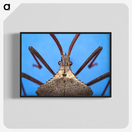 2-91_Insects-Unlocked-Project_blk-crop