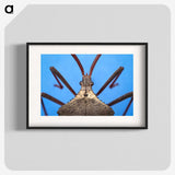 2-91_Insects-Unlocked-Project_blk
