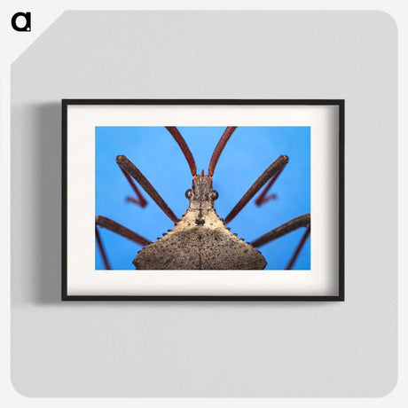 2-91_Insects-Unlocked-Project_blk