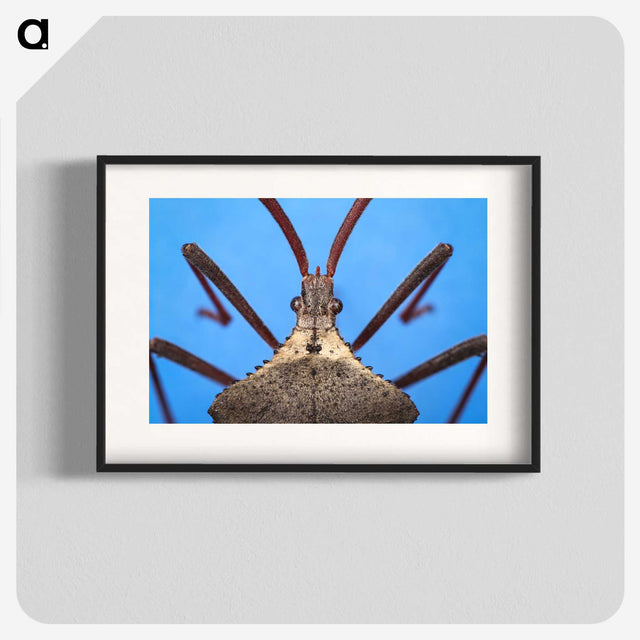 2-91_Insects-Unlocked-Project_blk