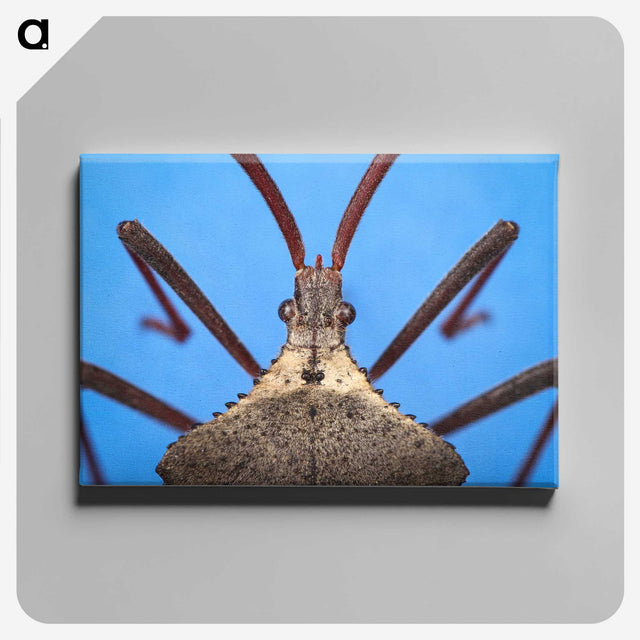 2-91_Insects-Unlocked-Project_canvas