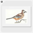2-91_Johan-Teyler_picture