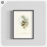 2-91_John-Gould_blk