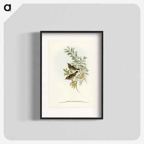 2-91_John-Gould_blk
