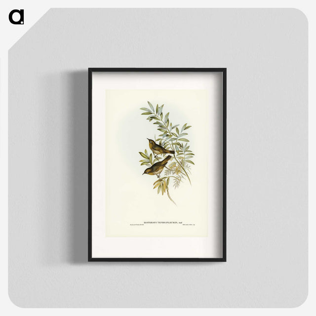 2-91_John-Gould_blk
